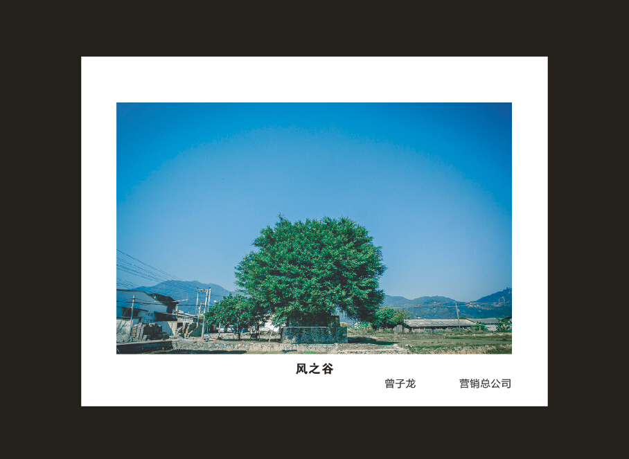 成立16周年司庆活动“魅力山河”摄影比赛优秀作品展