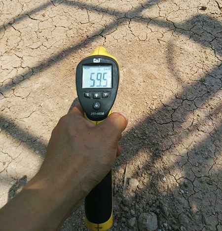 弘扬女排精神：炎夏服务二三事