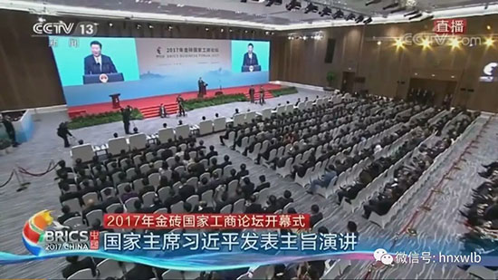 董事长何清华应邀参加金砖国家工商论坛