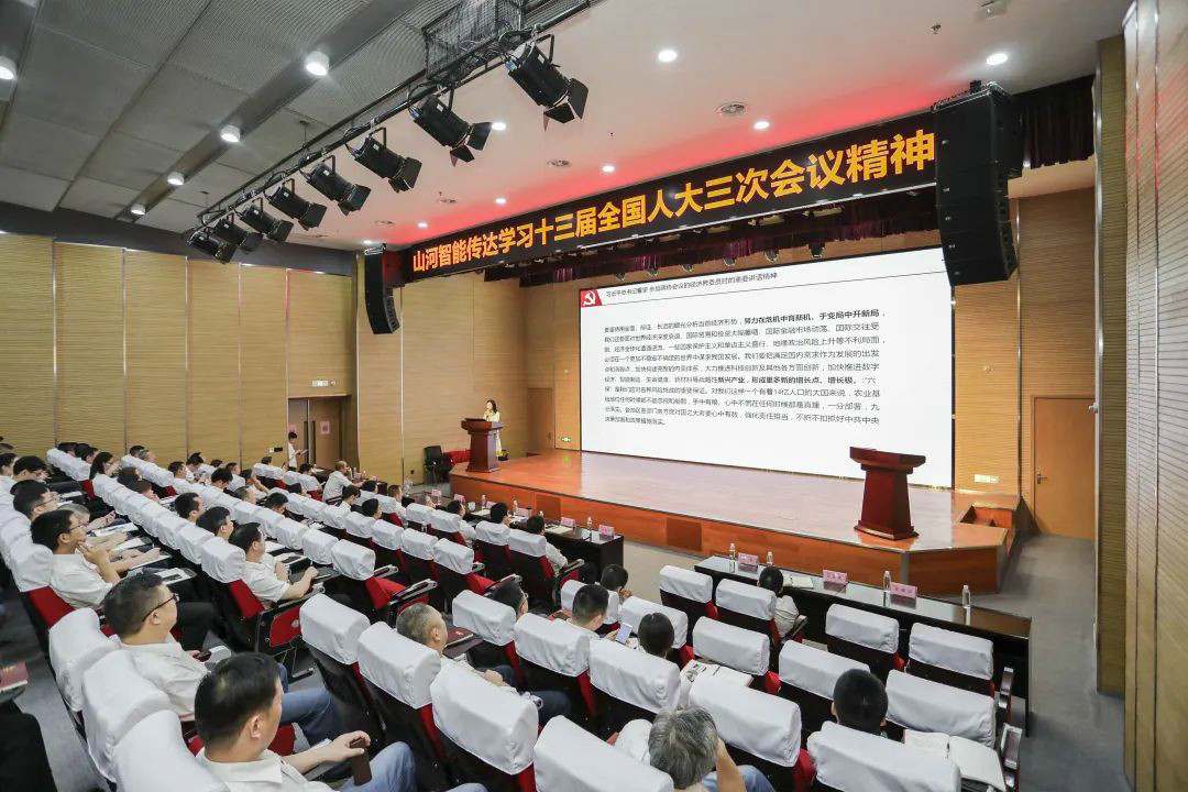 传达学习十三届全国人大三次会议精神