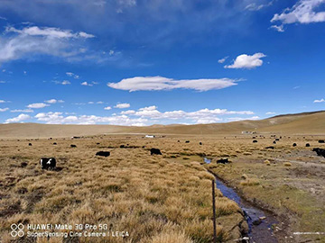 心系山河情，追梦阿里行！