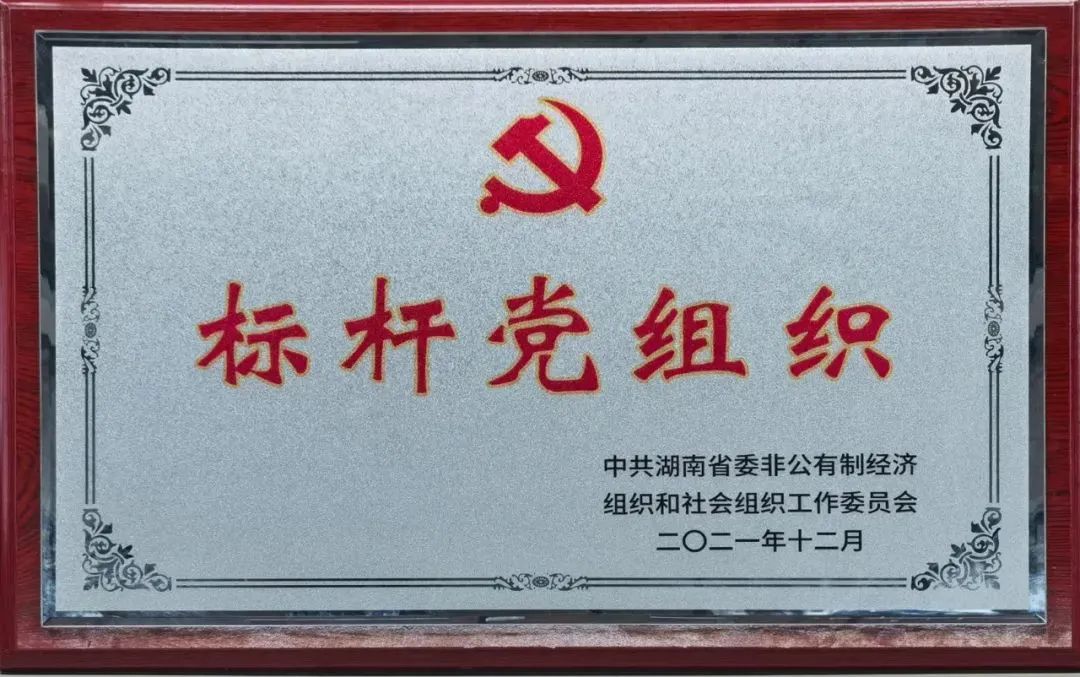 党建品牌亮起来！党委获评“标杆党组织”