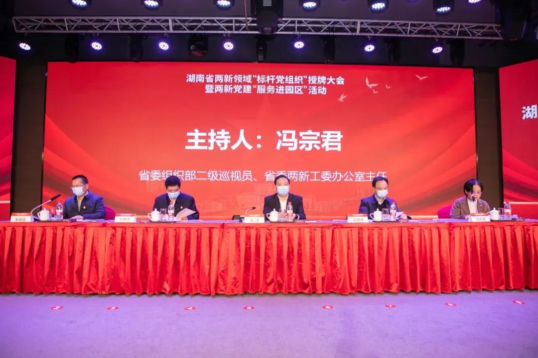 党建品牌亮起来！党委获评“标杆党组织”